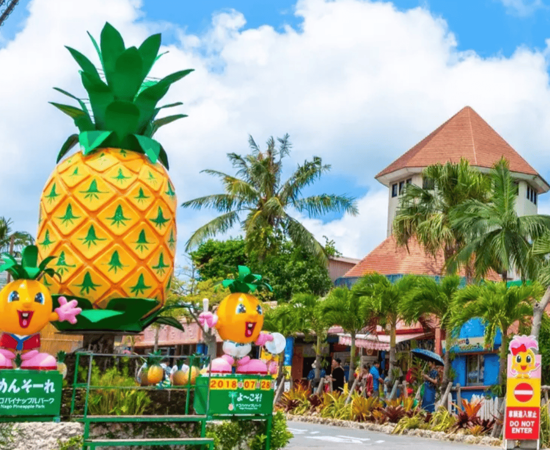 【沖繩親子遊｜7. 名護鳳梨公園】